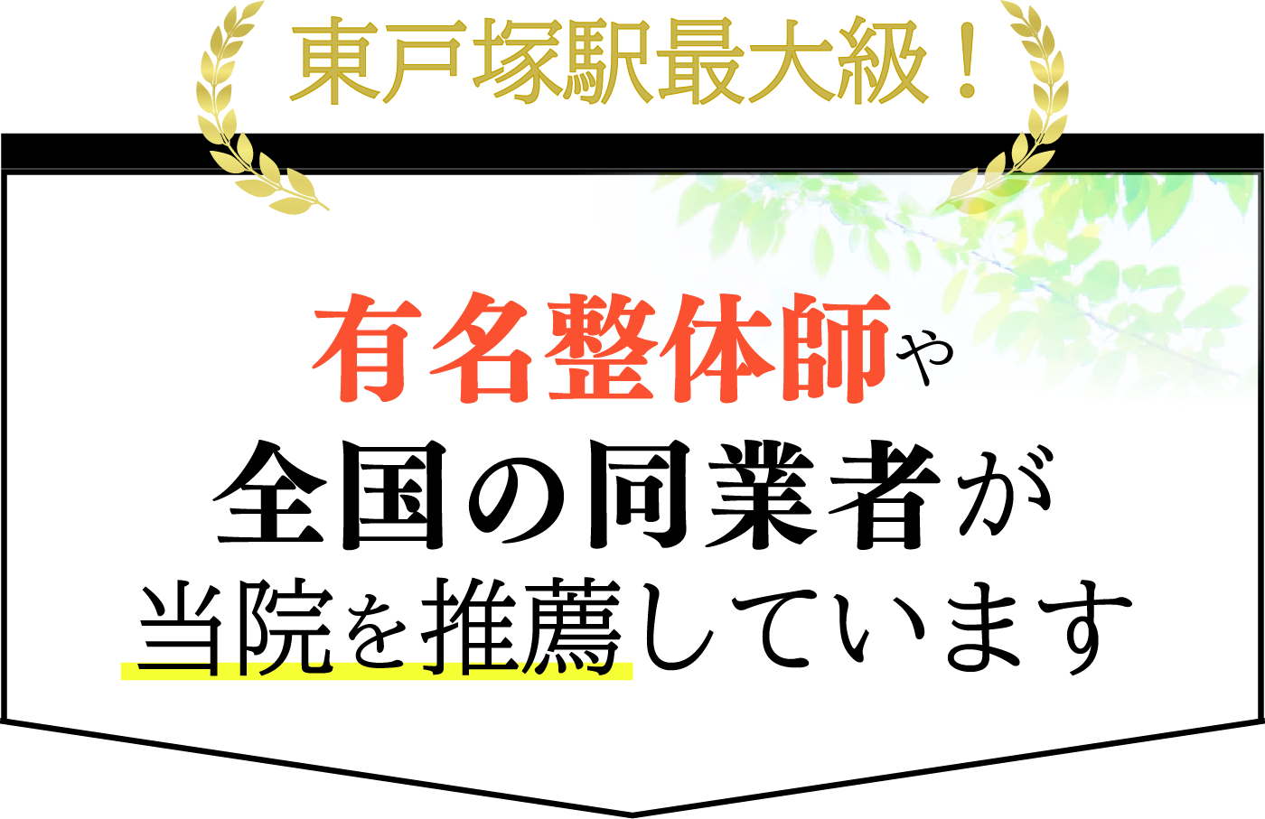 東戸塚駅最大級！有名整体師や全国の同業者が当院を推薦しています。